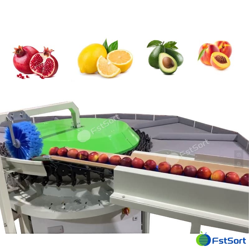 images/1764922958545pomegranate 1.jpg